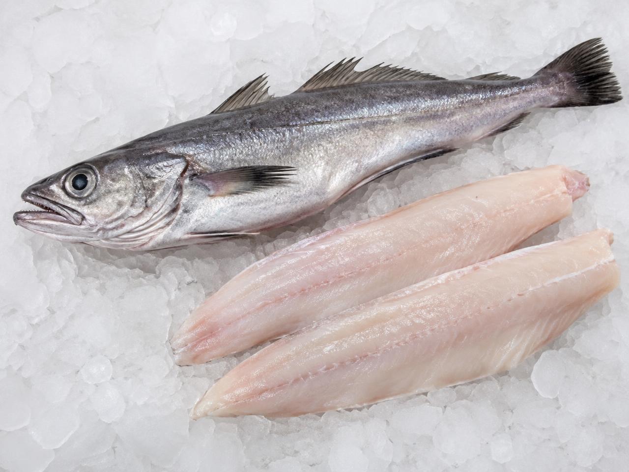 Hake